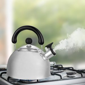 Masflex Stainless Steel Whistling Kettle