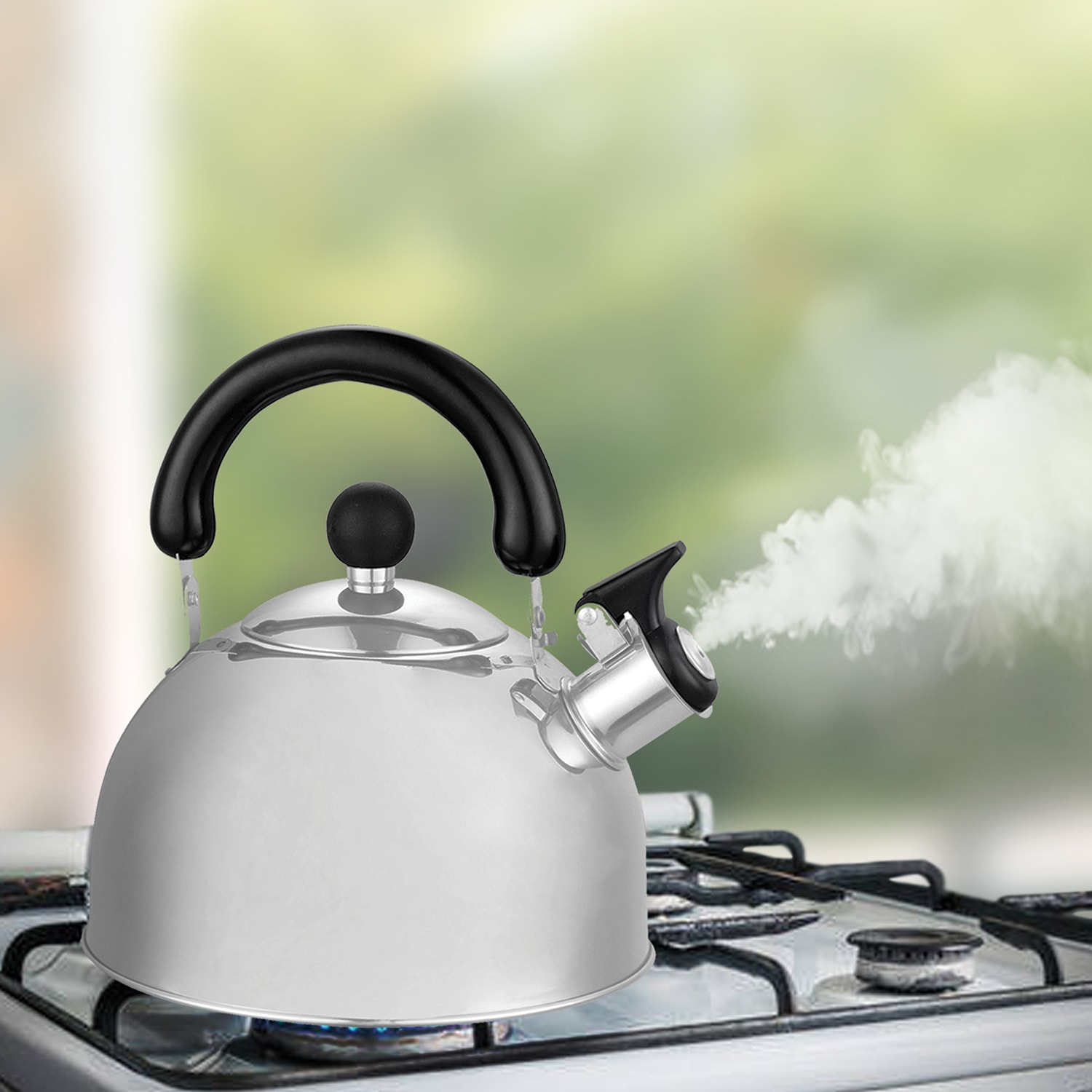Masflex Stainless Steel Whistling Kettle