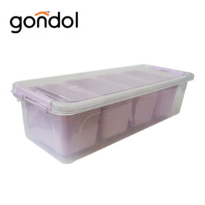 GONDOL 2.5L MY BOX DIVIDED ORGANIZER (VIOLET)
